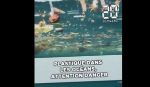 Plastique dans l'océan, attention danger