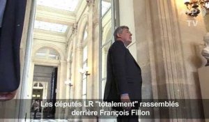 Les députés LR «totalement» rassemblés derrière François Fillon