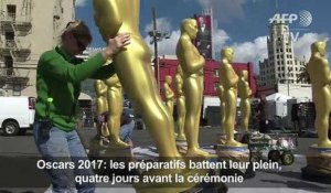 Oscars 2017 : le tapis rouge est déroulé