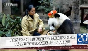 Pan Pan, le plus vieux panda mâle du monde, est mort