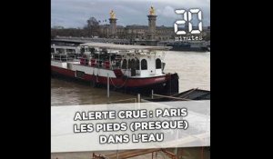 Alerte crue : Paris les pieds (presque) dans l'eau