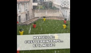 Marseille: C'est le printemps... et il neige!
