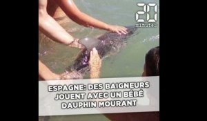 Espagne: Des baigneurs jouent avec un petit dauphin mourant