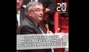 Le sénateur MoDem Michel Mercier épinglé pour des emplois familiaux