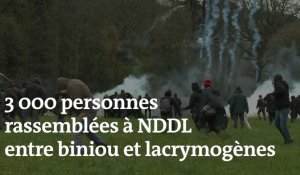 Notre-Dame-des-Landes : 3 000 personnes réunies entre biniou et gaz lacrymogènes