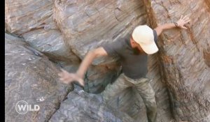 La chute impressionnante d'Adrien dans une crevasse (Wild) - ZAPPING TÉLÉ DU 17/04/2018