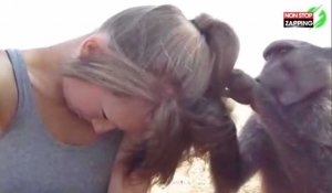 Quand un singe cherche des poux dans les cheveux d'une touriste (Vidéo)