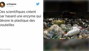 Une enzyme qui dévore le plastique créée par hasard par des scientifiques.