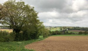 Un jardin intimiste et apaisant à Landrévarzec