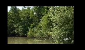 Page d'été : tourisme fluvial sur l'Aisne canalisée