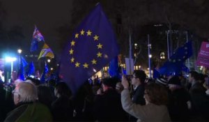 Brexit: Les foules se rassemblent devant le Parlement