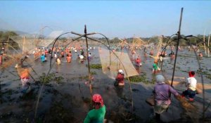 Inde: pêche communautaire pour célébrer la fête des moissons