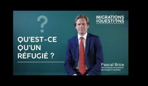 Pascal Brice - Qu'est ce qu'un réfugié ?