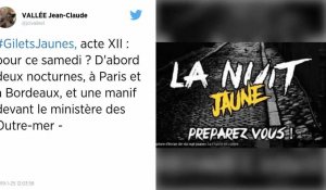 Gilets jaunes. « Nuit jaune », chaînes humaines... À quoi s'attendre ce samedi pour « l'acte 11 » ?