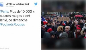 Foulards rouges. 10 500 personnes à la « marche républicaine des libertés » à Paris