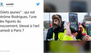 Qui est Jérôme Rodrigues, blessé à l'œil lors de la mobilisation de Gilets jaunes à Paris ?
