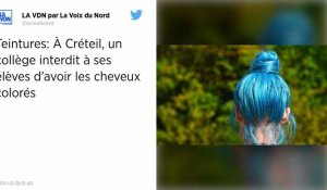 Créteil. Un collège privé interdit à ses élèves de venir avec les cheveux colorés