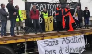 Challans. Delphine Viaud, déléguée du personnel de l'abattoir de Challans s'exprime sur la situation lors de la manifestation du 11 janvier