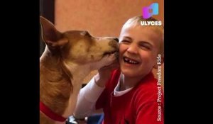À 7 ans, il a sauvé plus de 1300 chiens de la mort