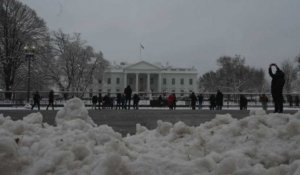 Washington se réveille sous la neige