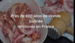 800 kilos de viande avariée polonaise retrouvés en France dans 9 entreprises