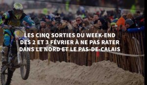 Les cinq sorties du week-end des 2 et 3 février à ne pas rater dans le Nord et le Pas-de-Calais