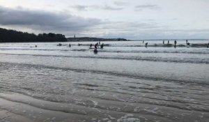 Douarnenez. Sur la plage du Ris, les surfeurs se jettent à l'eau pour la « photo de la mort »