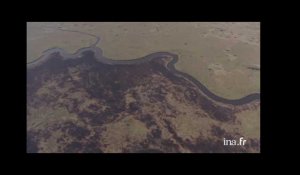 Botswana : méandres de la rivière dans le delta de l'Okavango