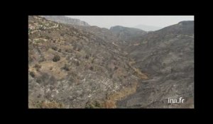 Grèce, île d'Eubée : paysages dévastés par les incendies