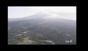 Indonésie : rizières en terrasse à Bali