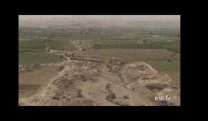 Jordanie : cultures agricoles dans la vallée du Jourdain