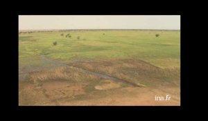 Mali : delta intérieur du Niger, pirogue