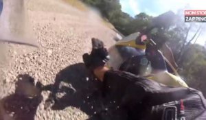 Un motard percute un chien... puis tombe pour éviter une biche (vidéo)