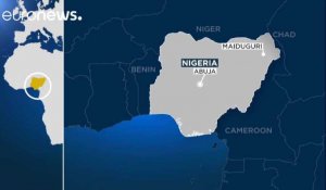 Double attentat-suicide au Nigeria : au moins 31 morts