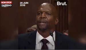 Terry Crews : Ému, l'acteur raconte son agression sexuelle devant le Sénat américain (vidéo)