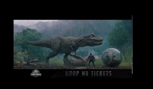 Jurassic World: Fallen Kingdom - T-Rex Island Bumper (NL)
