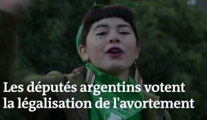 Argentine : grandes manifestations pour ou contre la légalisation de l'avortement