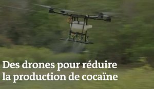 Les drones, le dispositif controversé de la Colombie pour réduire la production de cocaïne