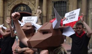 Espagne: manifestation contre les corridas à Pampelune