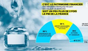 Patrimoine financier : où va l'argent des Français ?