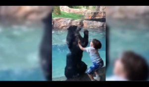 Etats-Unis : un ours danse avec un enfant et fait le buzz (vidéo)