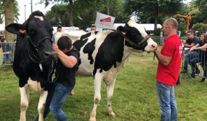 La première fête de l'agriculture pour les jeunes agriculteurs 