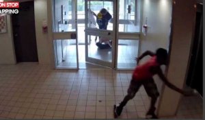 Canada : Un pitbull tue un petit chien dans le hall d'un immeuble, la vidéo choc 