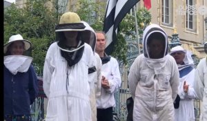 Les apiculteurs en colère rendent un « hommage funèbre » aux abeilles à Rennes