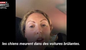 Canicule : Elle s'enferme dans sa voiture pour alerter les propriétaires de chiens (Vidéo)