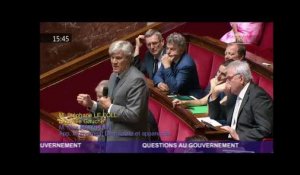 Stéphane Le Foll ovationné pour sa dernière à l'Assemblée
