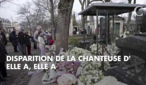 PHOTOS. Laeticia Hallyday a fait déposer une gerbe de fleurs sur la tombe de France Gall