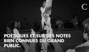 VIDEO. Tal rend hommage à France Gall au concert des Enfoirés