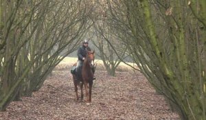 Italie: un médecin rend visite à ses patients à cheval