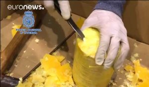 745 kilos de cocaïne dans des ananas !